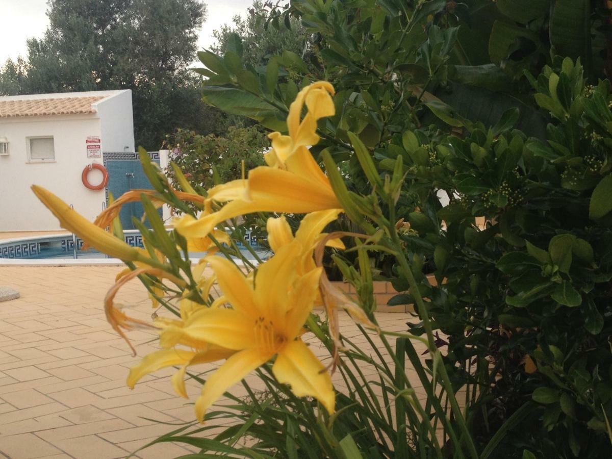 Vilabranco Αλμπουφέιρα Εξωτερικό φωτογραφία