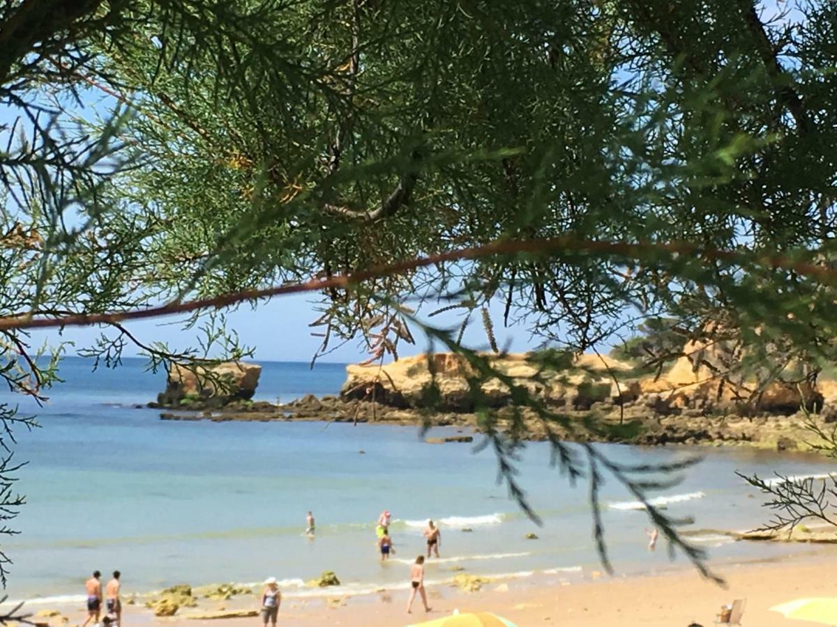 Vilabranco Αλμπουφέιρα Εξωτερικό φωτογραφία